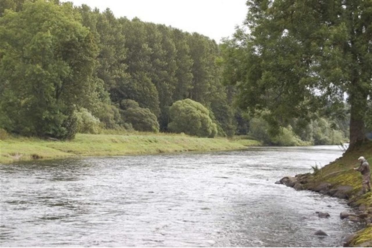 Melvern Rivers Rutherford Ii River Tweed Rutherford - 1 Rod Fishing 1 Day in Autumn | Powered by Givergy