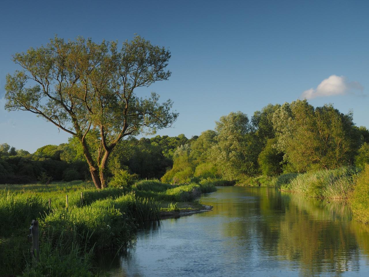 River Avon: A day for up to 4 rods | Powered by Givergy