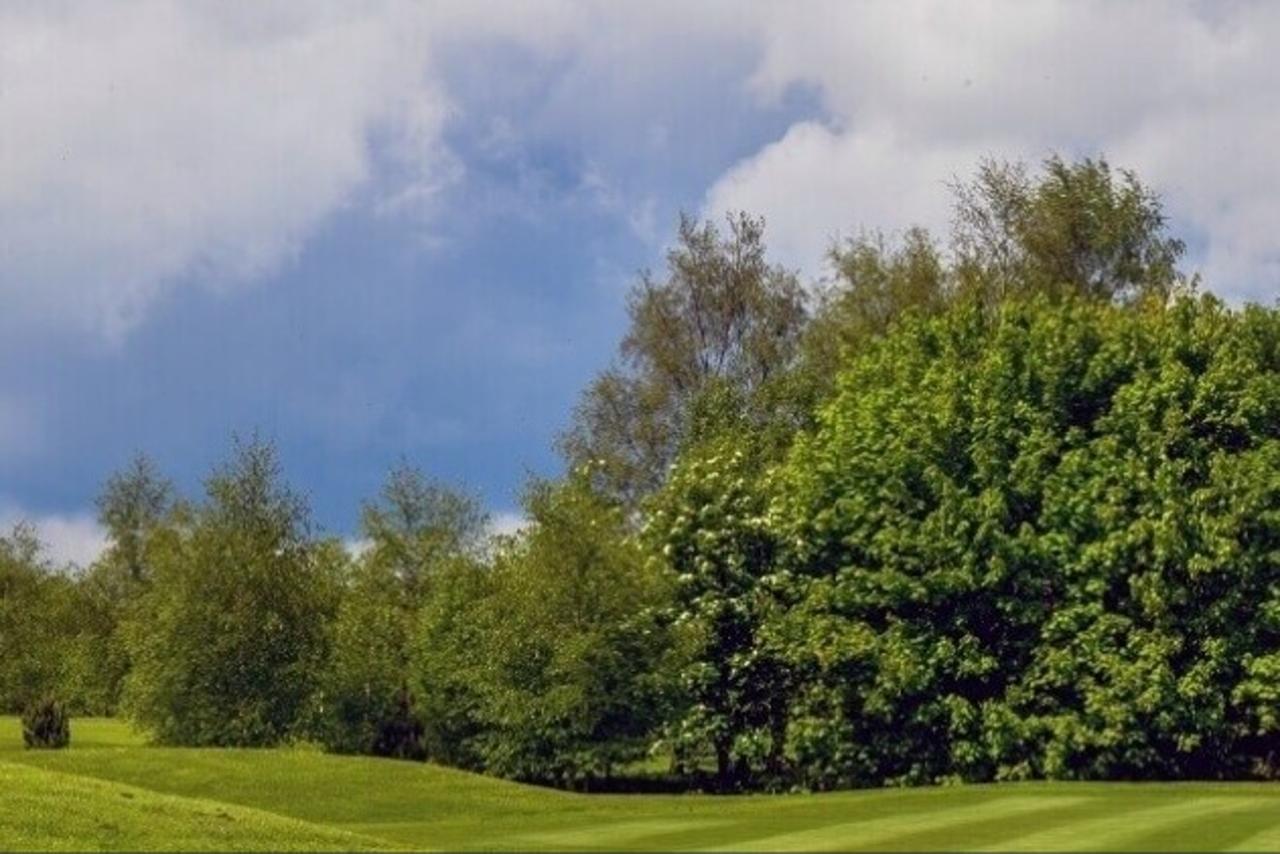 Four-ball at Bedale Golf Club | Powered by Givergy